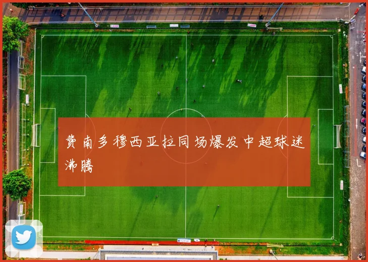 费南多穆西亚拉同场爆发中超球迷沸腾