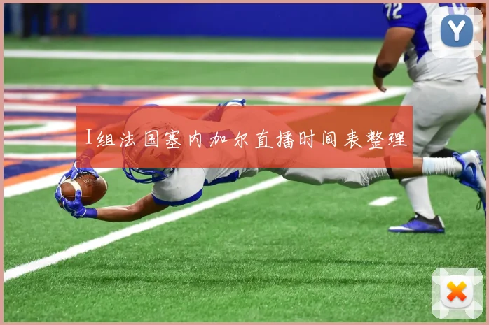 I组法国塞内加尔直播时间表整理