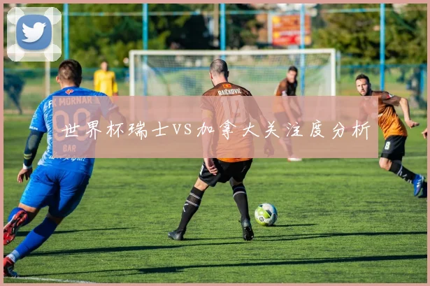 世界杯瑞士vs加拿大关注度分析