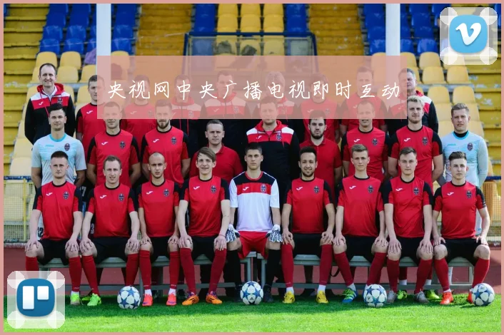 央视网中央广播电视即时互动