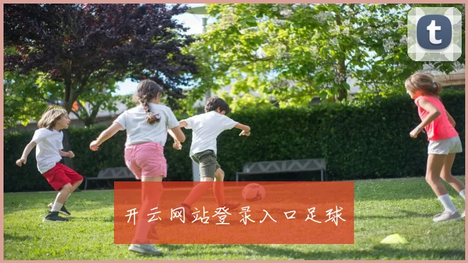 开云网站登录入口足球