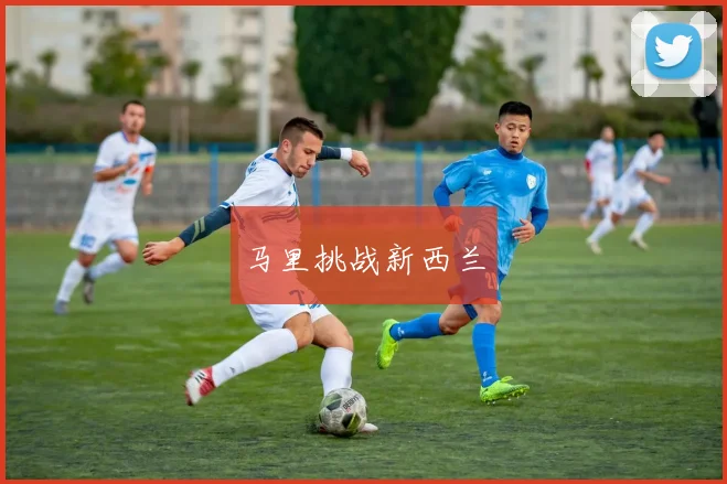 马里挑战新西兰