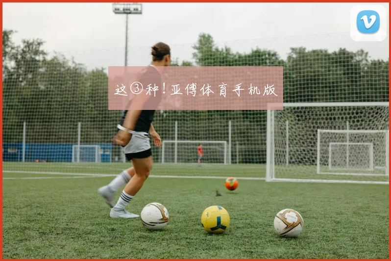 这③种!亚傅体育手机版