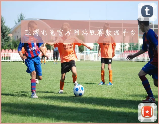 亚搏电竞官方网站联赛数据平台
