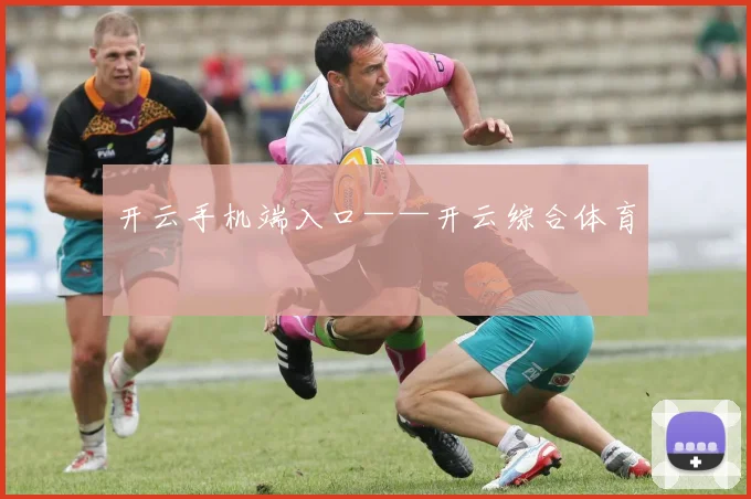 开云手机端入口——开云综合体育