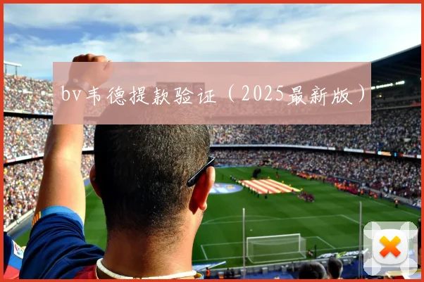 bv韦德提款验证（2025最新版）
