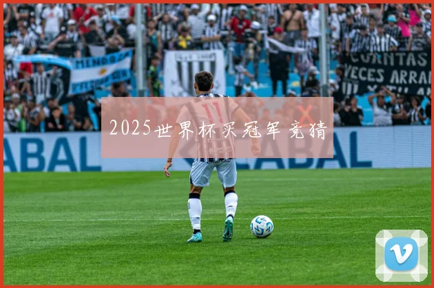 2025世界杯买冠军竞猜