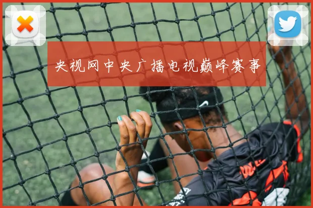 央视网中央广播电视巅峰赛事