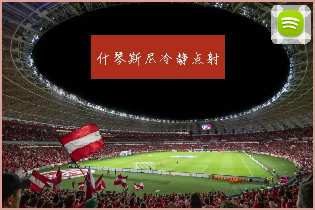 什琴斯尼冷静点射