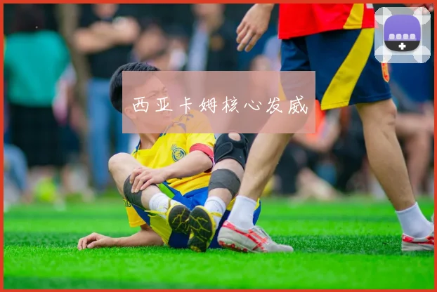 西亚卡姆核心发威