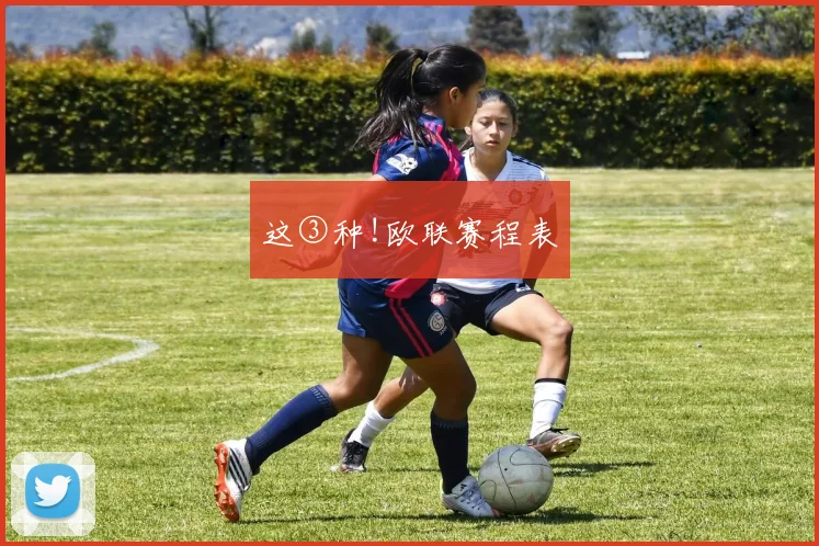 这③种!欧联赛程表