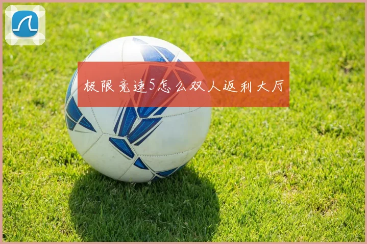 极限竞速5怎么双人返利大厅