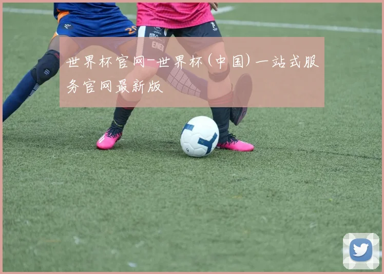 世界杯官网-世界杯(中国)一站式服务官网最新版