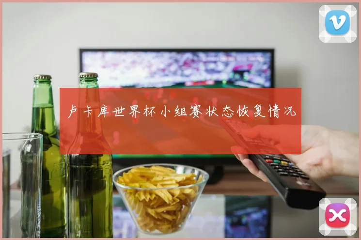 卢卡库世界杯小组赛状态恢复情况