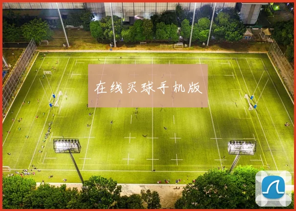 在线买球手机版