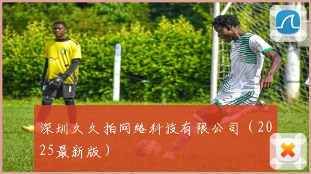 深圳久久拍网络科技有限公司（2025最新版）