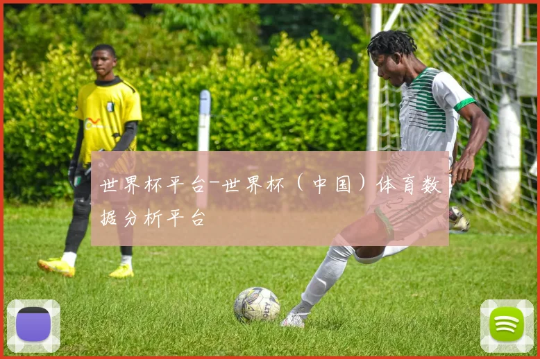 世界杯平台-世界杯（中国）体育数据分析平台