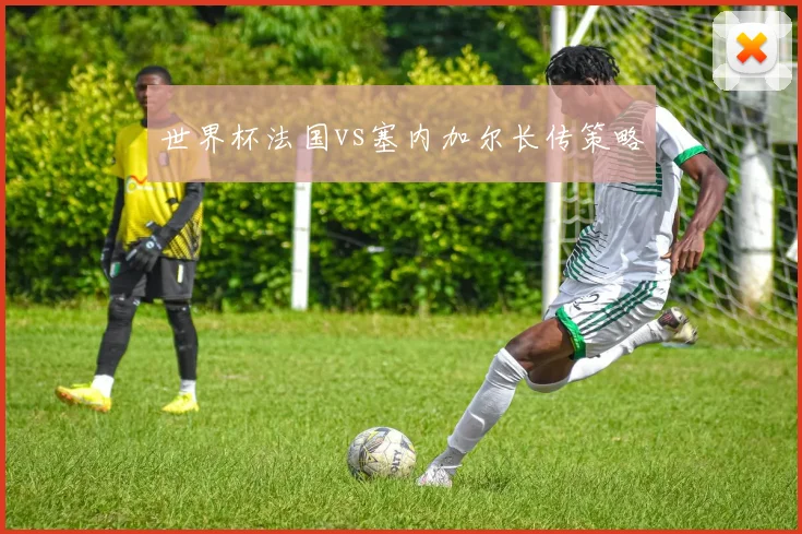 世界杯法国vs塞内加尔长传策略