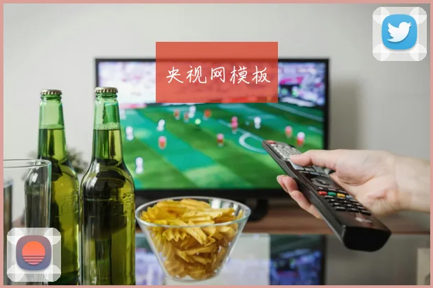 央视网模板