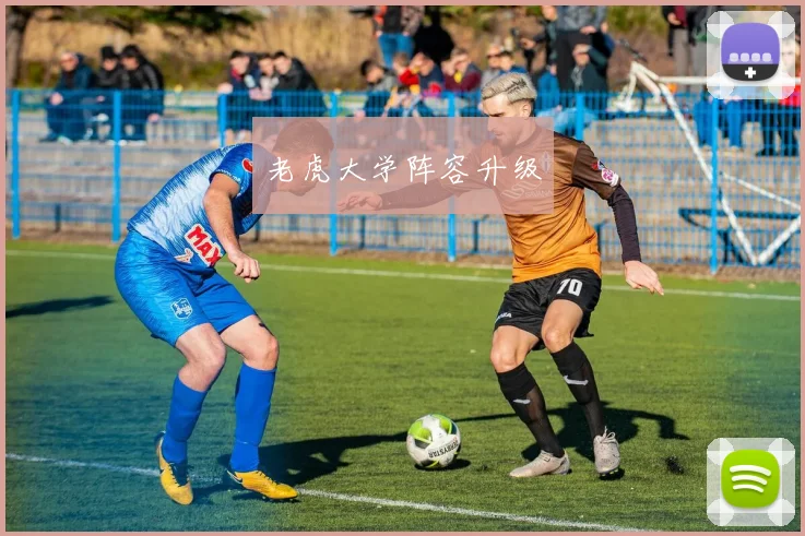 老虎大学阵容升级