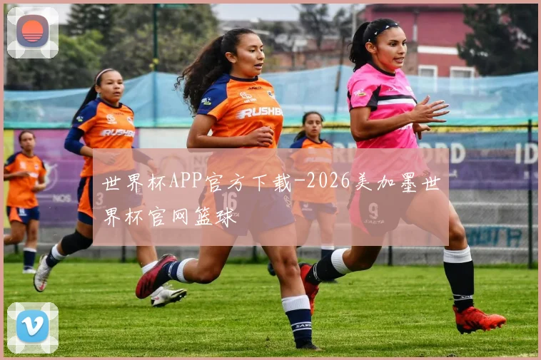世界杯APP官方下载-2026美加墨世界杯官网篮球