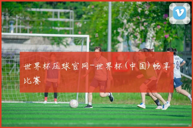 世界杯压球官网-世界杯(中国)畅享比赛