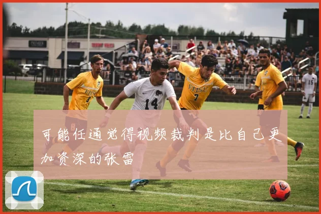 可能任通觉得视频裁判是比自己更加资深的张雷