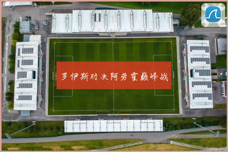 罗伊斯对决阿劳霍巅峰战