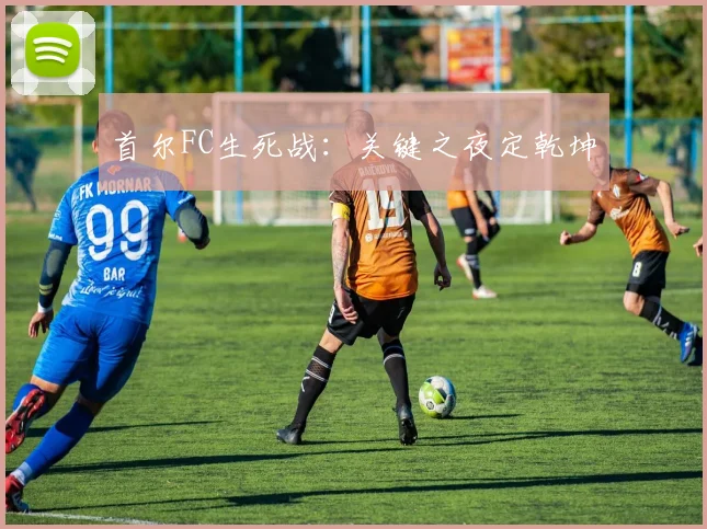 首尔FC生死战：关键之夜定乾坤