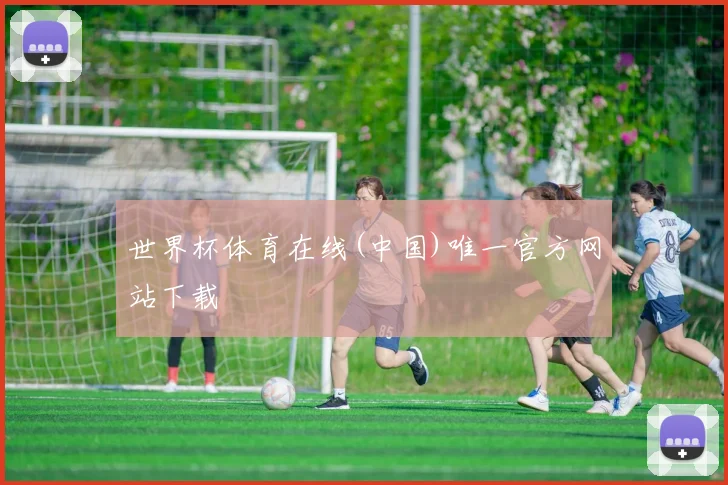 世界杯体育在线(中国)唯一官方网站下载