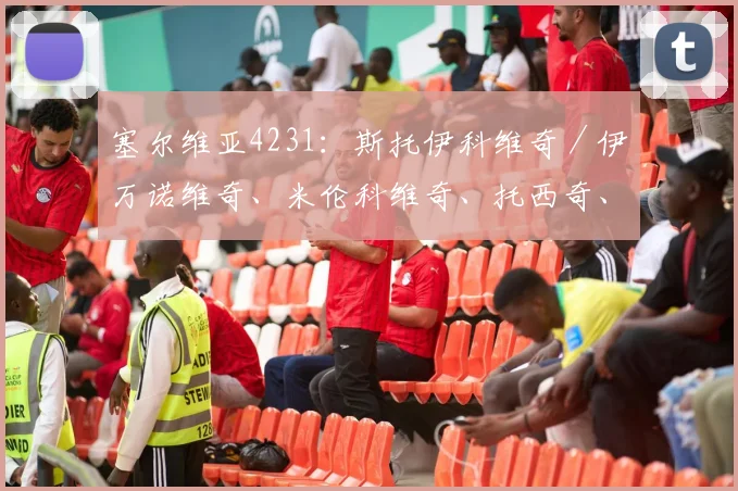 塞尔维亚4231：斯托伊科维奇／伊万诺维奇、米伦科维奇、托西奇、科拉罗夫／马蒂奇、米林科维奇／塔迪奇、利亚伊奇、科斯蒂奇／米特罗维奇