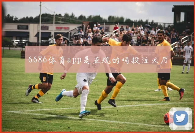 6686体育app是正规的吗投注大厅