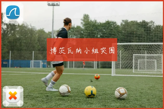 博茨瓦纳小组突围