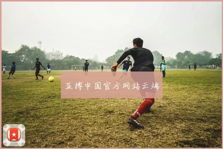 亚搏中国官方网站云端