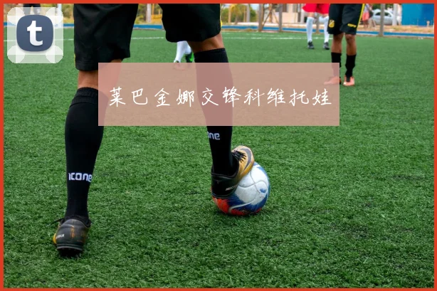 莱巴金娜交锋科维托娃