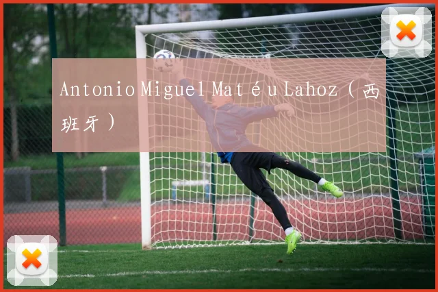 Antonio Miguel Matéu Lahoz（西班牙）