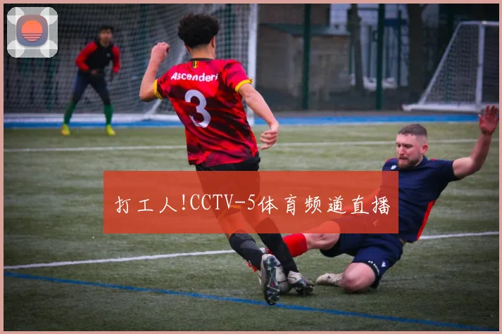 打工人!CCTV-5体育频道直播
