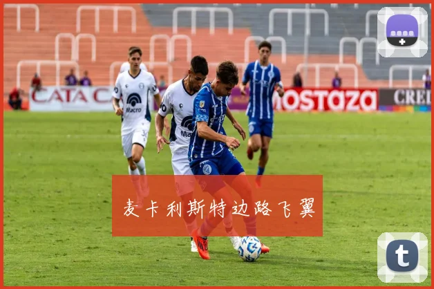 麦卡利斯特边路飞翼