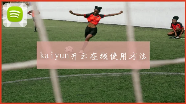 kaiyun开云在线使用方法