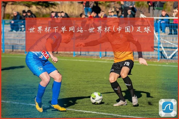 世界杯下单网站_世界杯(中国)足球