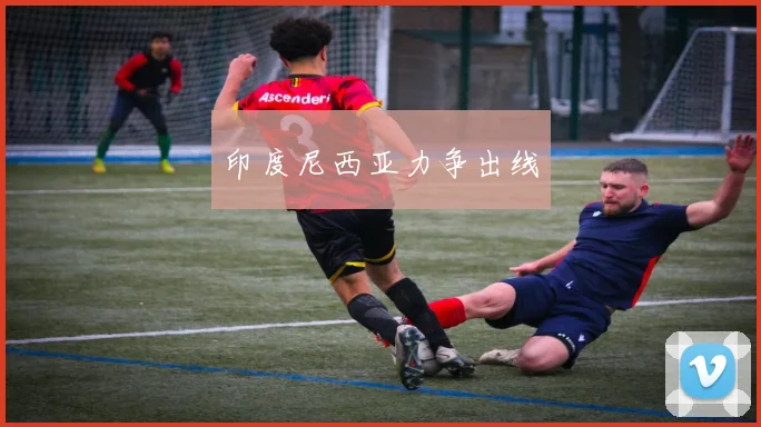 印度尼西亚力争出线