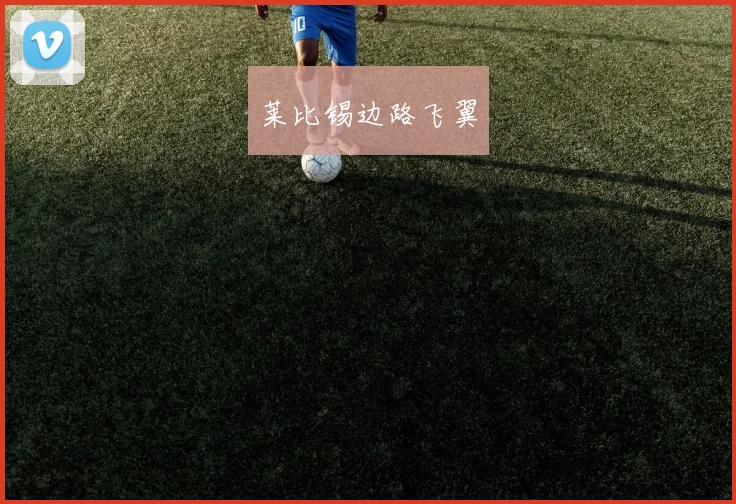 莱比锡边路飞翼