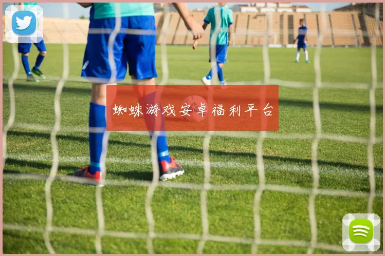 蜘蛛游戏安卓福利平台