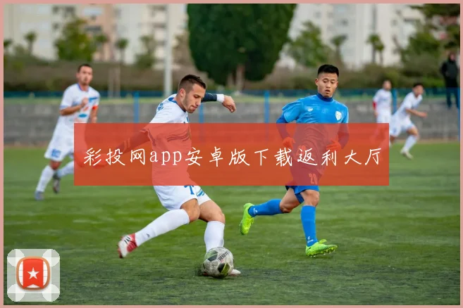 彩投网app安卓版下载返利大厅