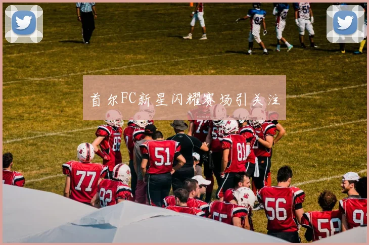 首尔FC新星闪耀赛场引关注