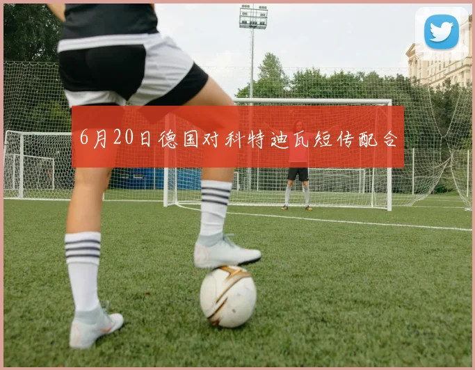 6月20日德国对科特迪瓦短传配合