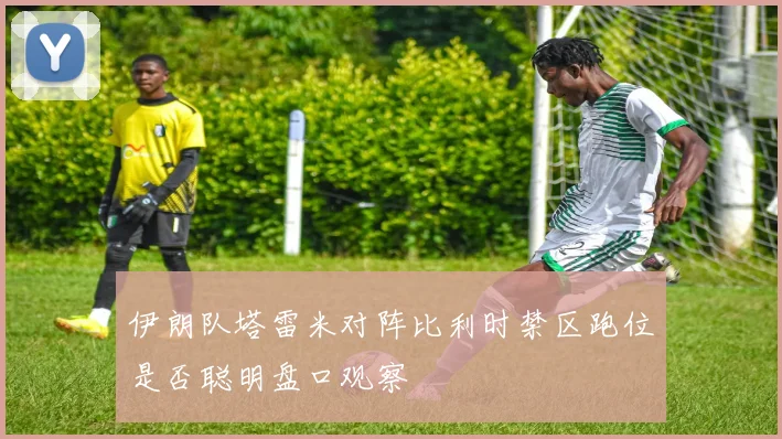 伊朗队塔雷米对阵比利时禁区跑位是否聪明盘口观察