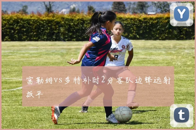 富勒姆vs多特补时2分客队边锋远射扳平